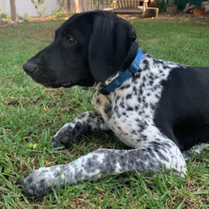 Meet your Posher, Amy